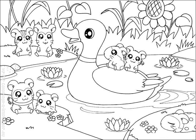 Página para colorir: hamster (animais) #8109 - Páginas para Colorir Imprimíveis Gratuitamente