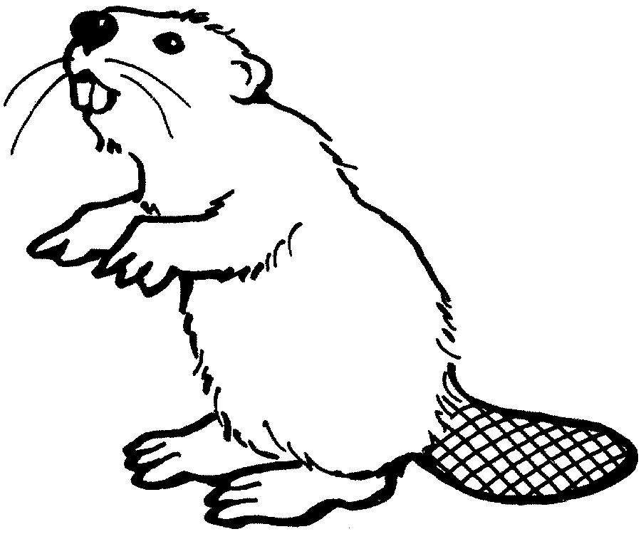 Página para colorir: hamster (animais) #8112 - Páginas para Colorir Imprimíveis Gratuitamente