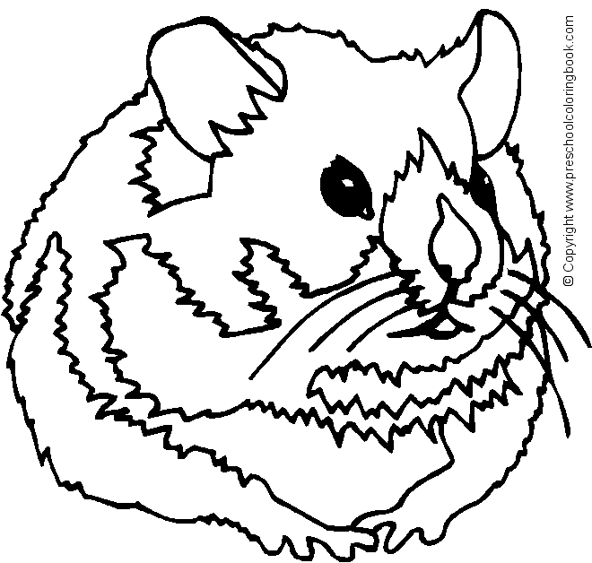 Página para colorir: hamster (animais) #8139 - Páginas para Colorir Imprimíveis Gratuitamente