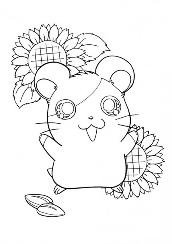 Página para colorir: hamster (animais) #8175 - Páginas para Colorir Imprimíveis Gratuitamente