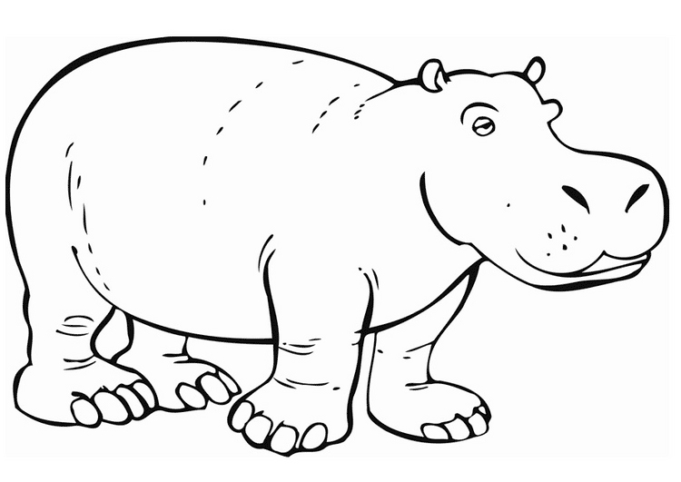 Página para colorir: hipopótamo (animais) #8641 - Páginas para Colorir Imprimíveis Gratuitamente