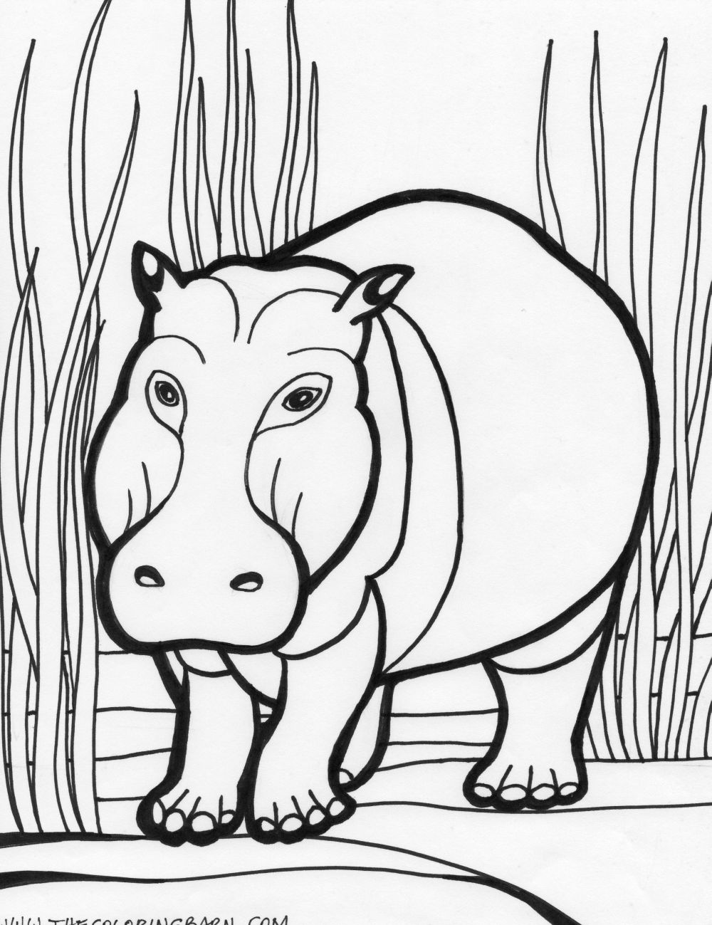 Página para colorir: hipopótamo (animais) #8643 - Páginas para Colorir Imprimíveis Gratuitamente