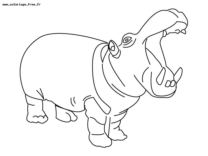 Página para colorir: hipopótamo (animais) #8663 - Páginas para Colorir Imprimíveis Gratuitamente
