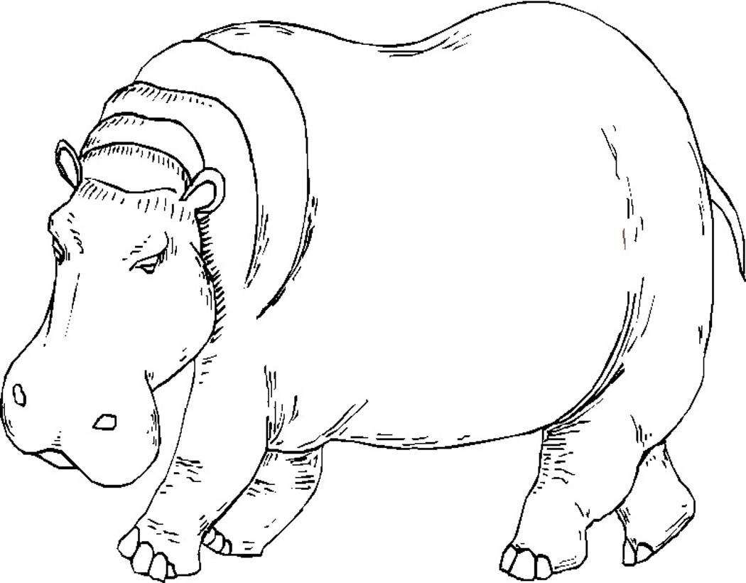 Página para colorir: hipopótamo (animais) #8665 - Páginas para Colorir Imprimíveis Gratuitamente