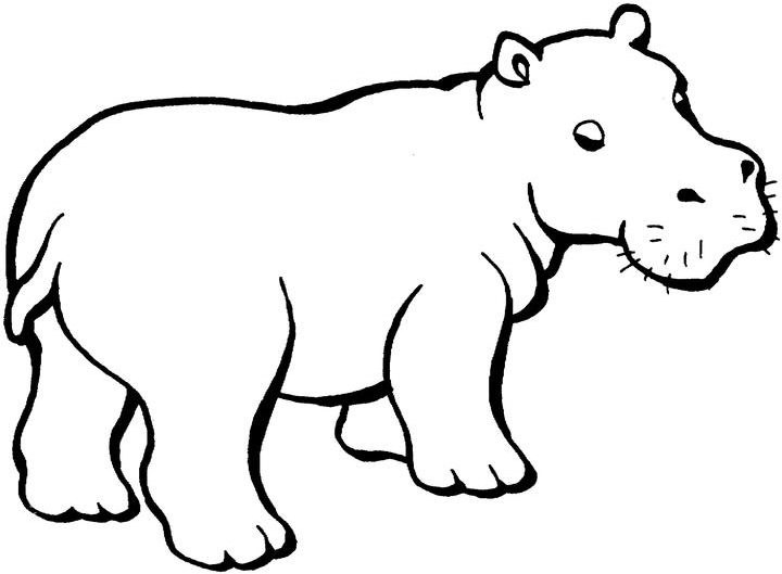 Página para colorir: hipopótamo (animais) #8672 - Páginas para Colorir Imprimíveis Gratuitamente