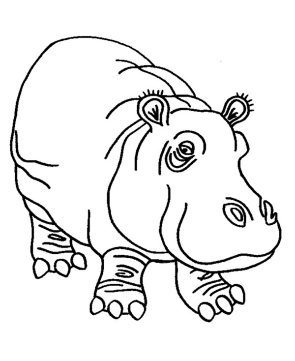 Página para colorir: hipopótamo (animais) #8726 - Páginas para Colorir Imprimíveis Gratuitamente