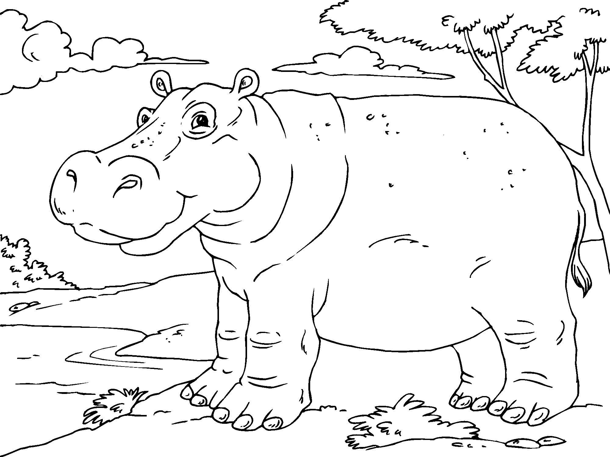 Página para colorir: hipopótamo (animais) #8735 - Páginas para Colorir Imprimíveis Gratuitamente