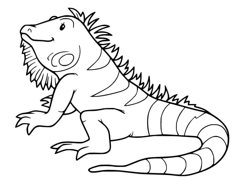 Desenho gratuito Iguana #188794 da colecao Animais para imprimir