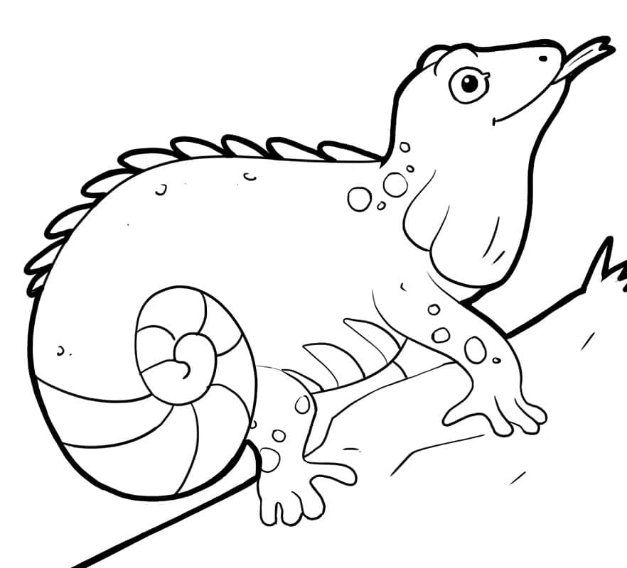 Desenho gratuito Iguana #188796 da colecao Animais para imprimir