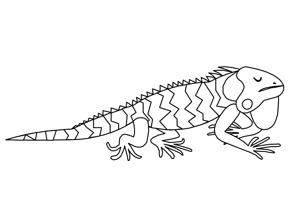 Página para colorir: iguana (animais) #8914 - Páginas para Colorir Imprimíveis Gratuitamente