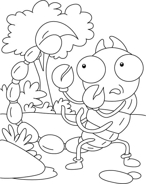 Desenho gratuito Inseto #179738 da colecao Animais para imprimir