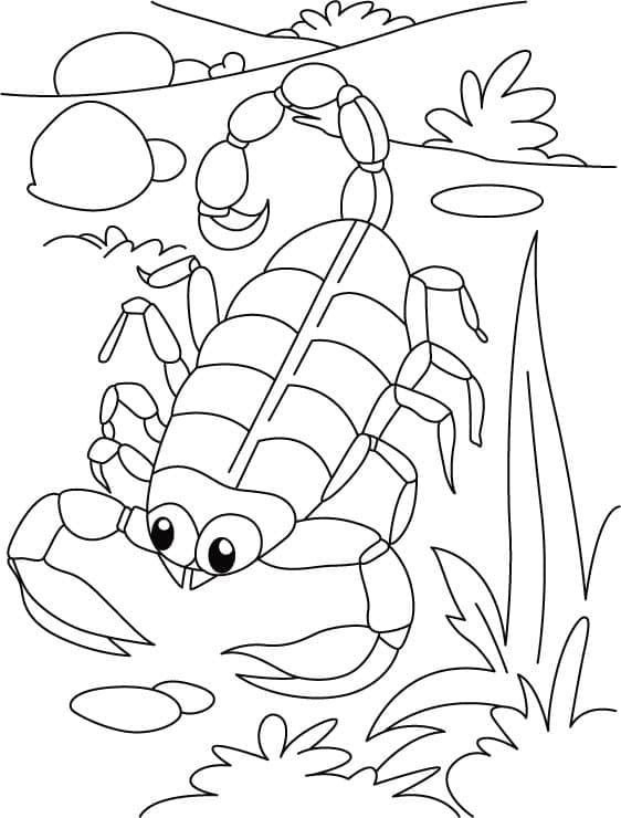 Desenho gratuito Inseto #179739 da colecao Animais para imprimir