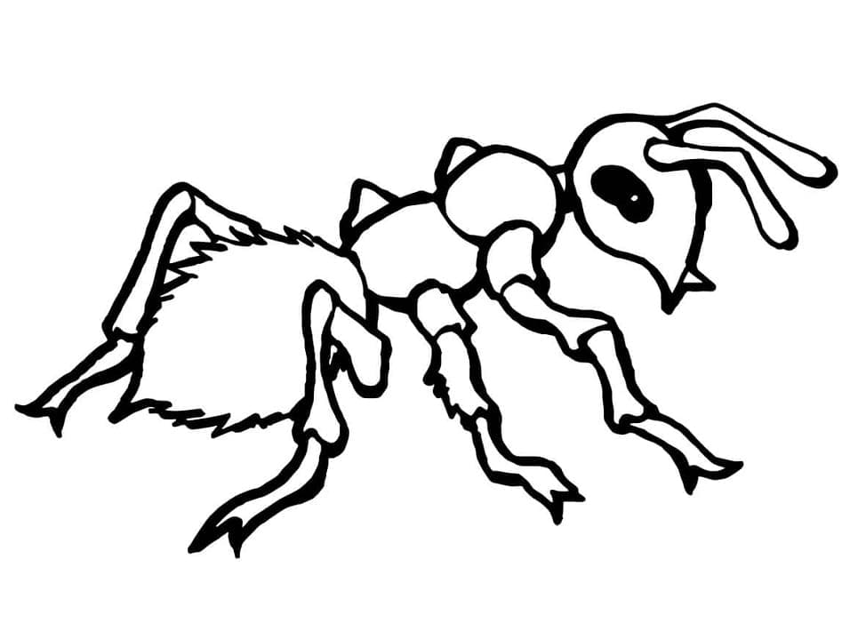 Desenho gratuito Inseto #179745 da colecao Animais para imprimir Desenho gratuito Inseto #179745 da colecao Animais para imprimir