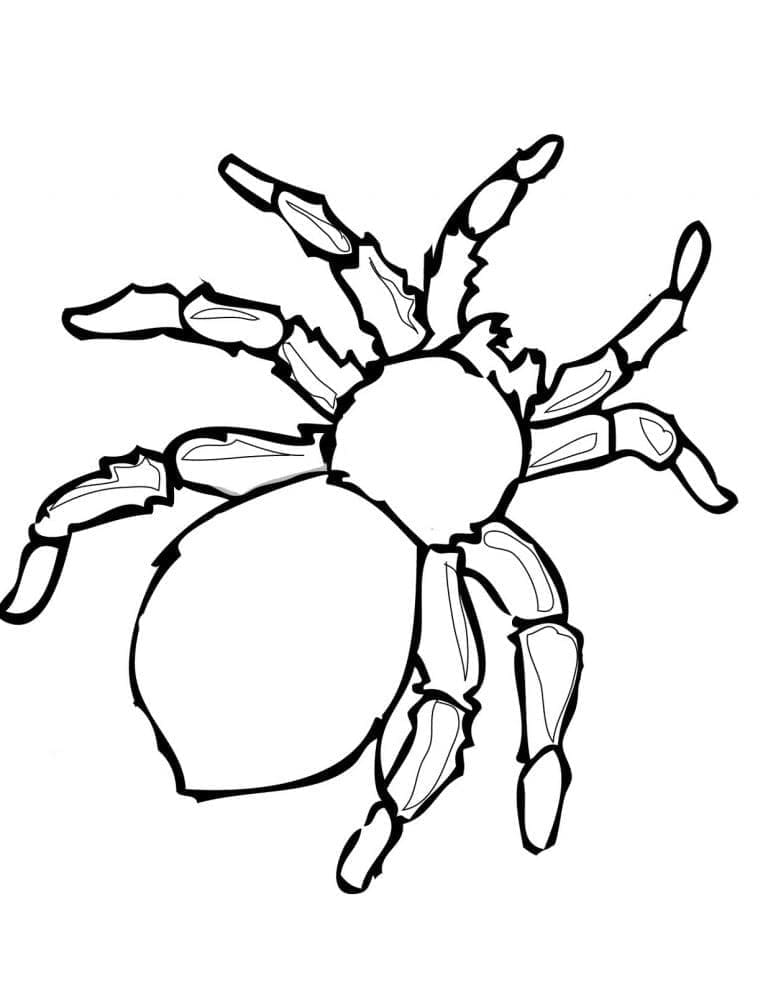 Desenho gratuito Inseto #179750 da colecao Animais para imprimir