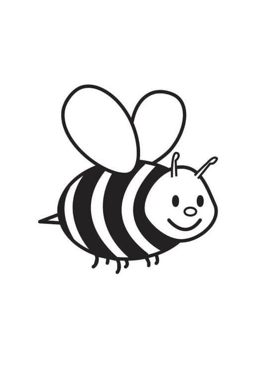 Desenho gratuito Inseto #179756 da colecao Animais para imprimir