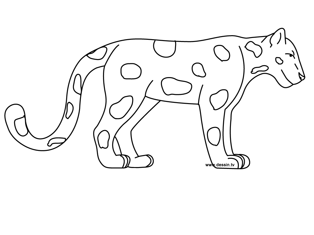 Página para colorir: Jaguar (animais) #9000 - Páginas para Colorir Imprimíveis Gratuitamente