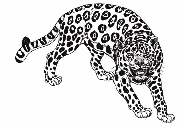 Página para colorir: Jaguar (animais) #9001 - Páginas para Colorir Imprimíveis Gratuitamente