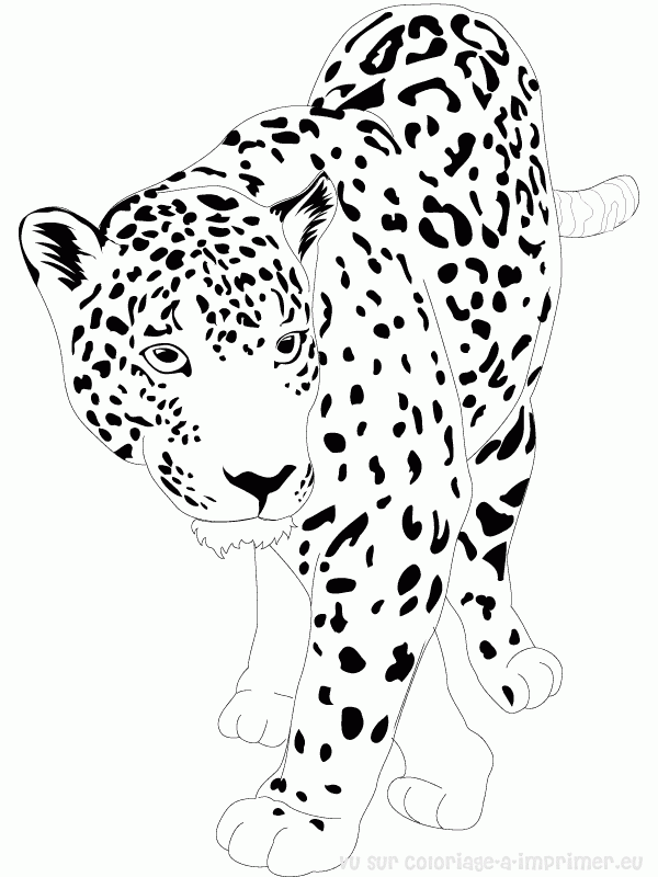 Página para colorir: Jaguar (animais) #9002 - Páginas para Colorir Imprimíveis Gratuitamente