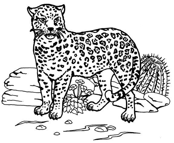 Página para colorir: Jaguar (animais) #9005 - Páginas para Colorir Imprimíveis Gratuitamente