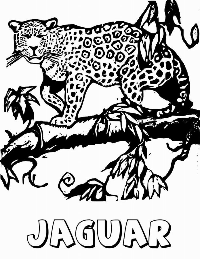Página para colorir: Jaguar (animais) #9008 - Páginas para Colorir Imprimíveis Gratuitamente