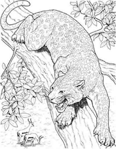 Página para colorir: Jaguar (animais) #9038 - Páginas para Colorir Imprimíveis Gratuitamente
