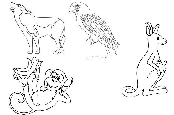 Página para colorir: Jardim zoológico (animais) #12839 - Páginas para Colorir Imprimíveis Gratuitamente