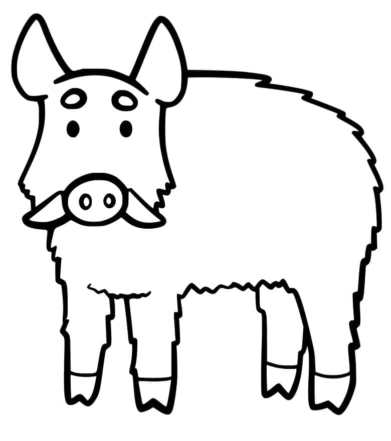 Atividade criativa: desenho de Javali #205371 para colorir da coleção Animais