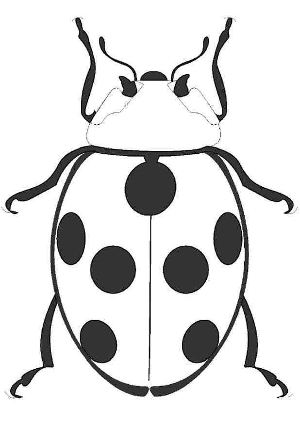 Desenho gratuito Joaninha #177705 da colecao Animais para imprimir