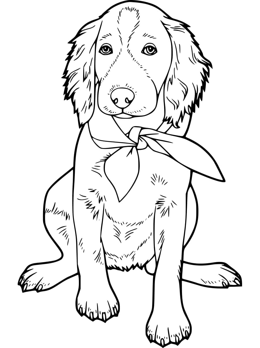 Desenho gratuito Labrador #220742 da colecao Animais para imprimir Desenho gratuito Labrador #220742 da colecao Animais para imprimir