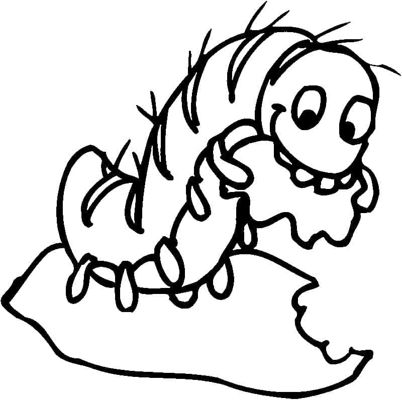 Ilustração de Lagarta #210368 para colorir, parte da coleção Animais