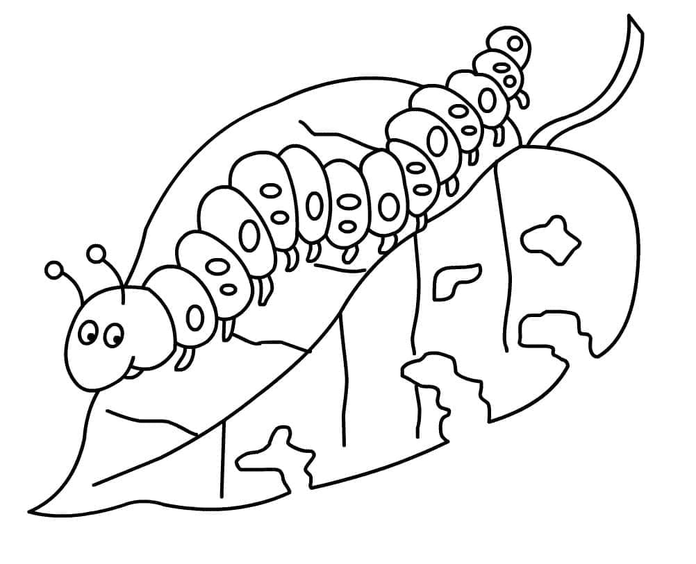 Desenho gratuito Lagarta #210393 da colecao Animais para imprimir