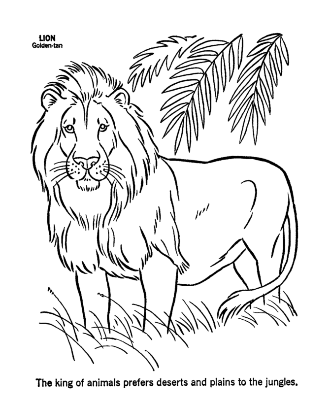Página para colorir: Leão (animais) #10252 - Páginas para Colorir Imprimíveis Gratuitamente