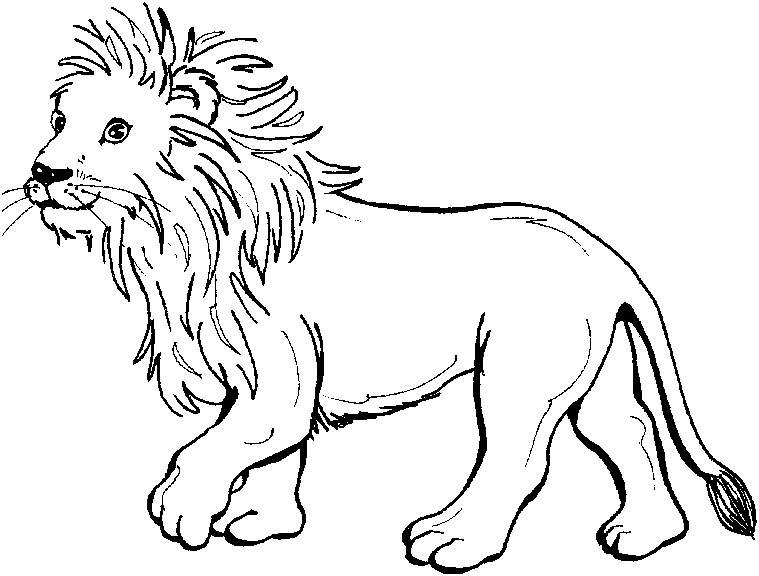 Página para colorir: Leão (animais) #10267 - Páginas para Colorir Imprimíveis Gratuitamente