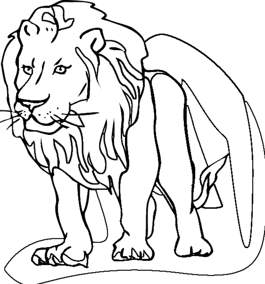 Página para colorir: Leão (animais) #10279 - Páginas para Colorir Imprimíveis Gratuitamente