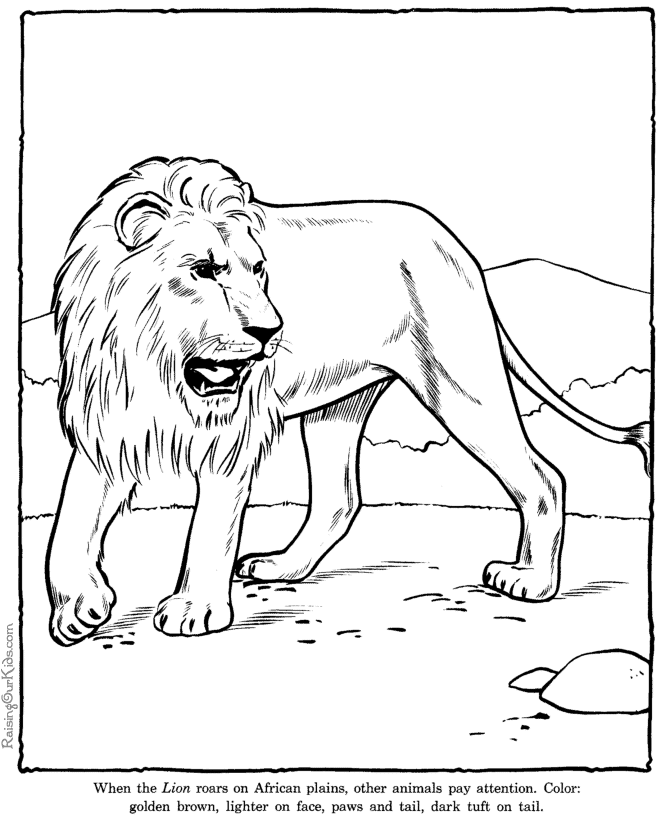 Página para colorir: Leão (animais) #10399 - Páginas para Colorir Imprimíveis Gratuitamente