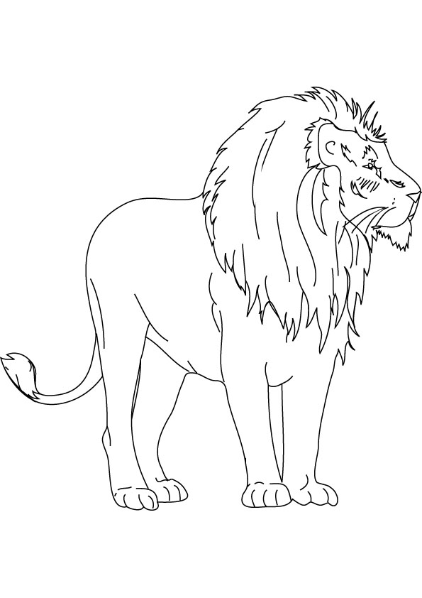 Página para colorir: Leão (animais) #10437 - Páginas para Colorir Imprimíveis Gratuitamente