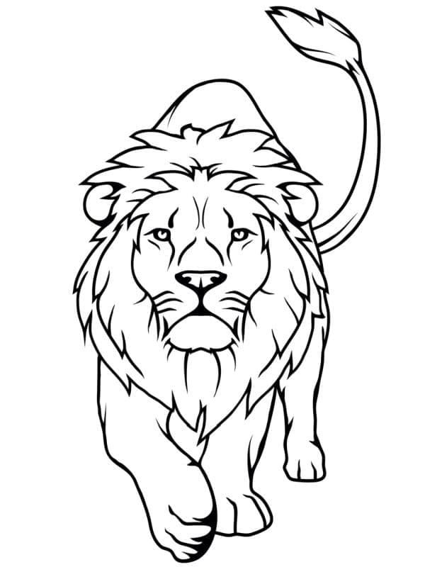 Desenho gratuito Leão #174855 da colecao Animais para imprimir