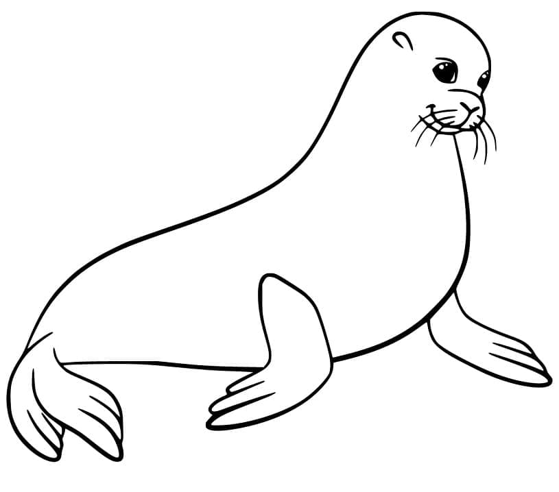 Desenho gratuito Leão-marinho #192521 da colecao Animais para imprimir Desenho gratuito Leão-marinho #192521 da colecao Animais para imprimir