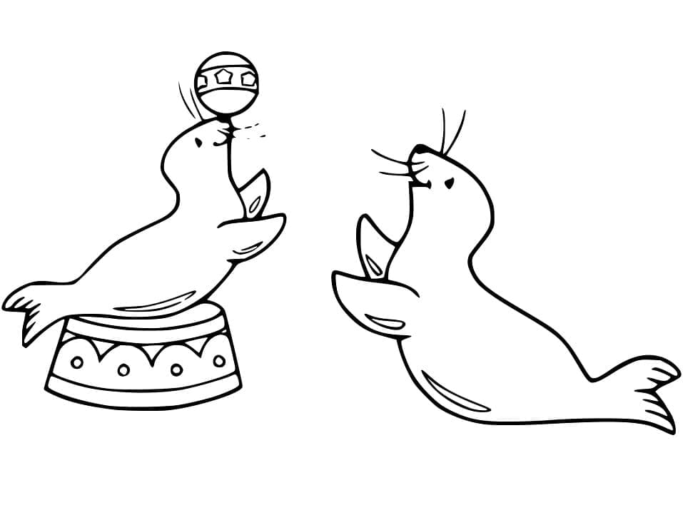 Desenho gratuito Leão-marinho #192526 da colecao Animais para imprimir