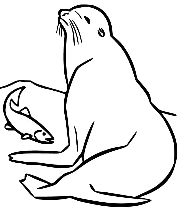 Desenho gratuito Leão-marinho #192528 da colecao Animais para imprimir Desenho gratuito Leão-marinho #192528 da colecao Animais para imprimir