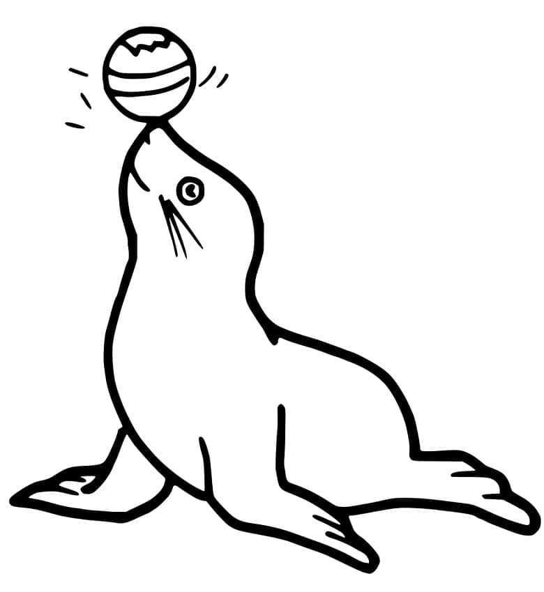 Desenho gratuito Leão-marinho #192536 da colecao Animais para imprimir
