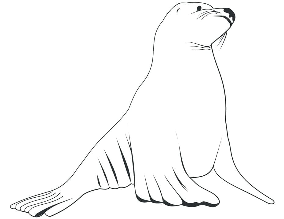 Desenho gratuito Leão-marinho #192541 da colecao Animais para imprimir