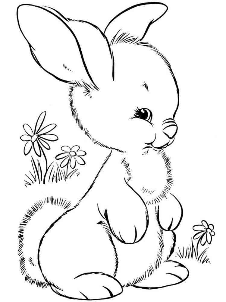 Desenho gratuito Lebre #209023 da colecao Animais para imprimir