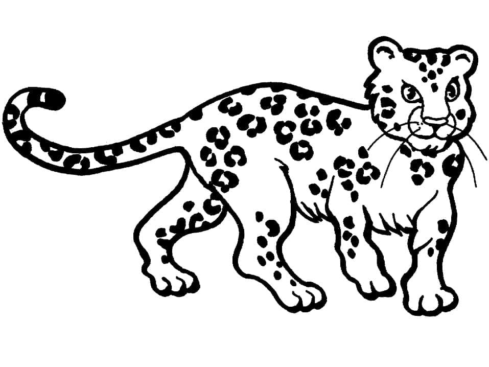 Desenho gratuito Leopardo #189152 da colecao Animais para imprimir
