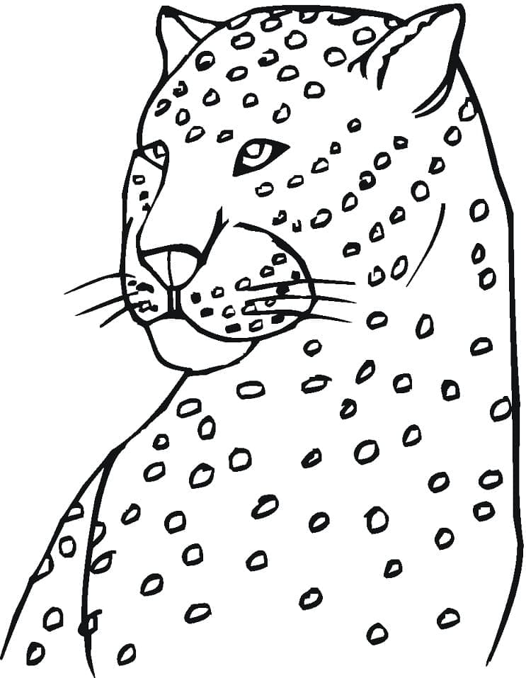 Desenho gratuito Leopardo #189169 da colecao Animais para imprimir