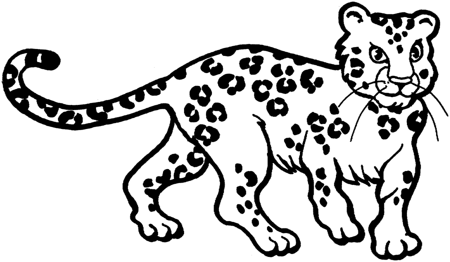 Página para colorir: Leopardo (animais) #9706 - Páginas para Colorir Imprimíveis Gratuitamente