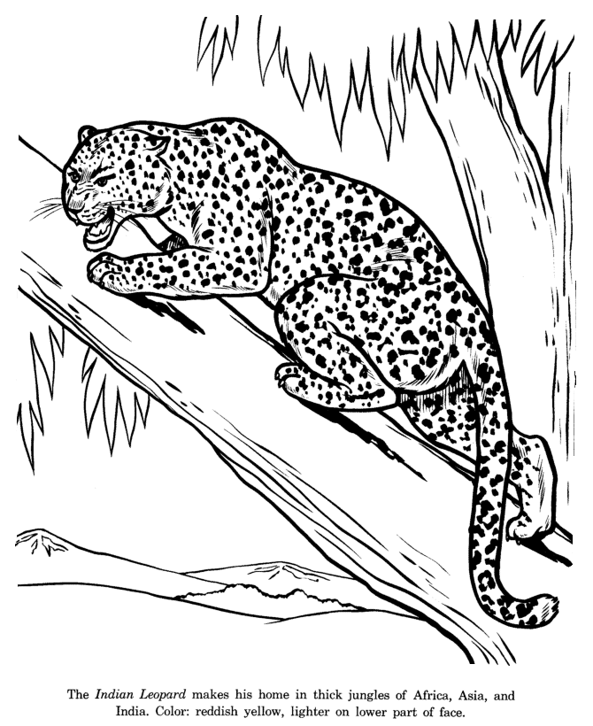 Página para colorir: Leopardo (animais) #9748 - Páginas para Colorir Imprimíveis Gratuitamente