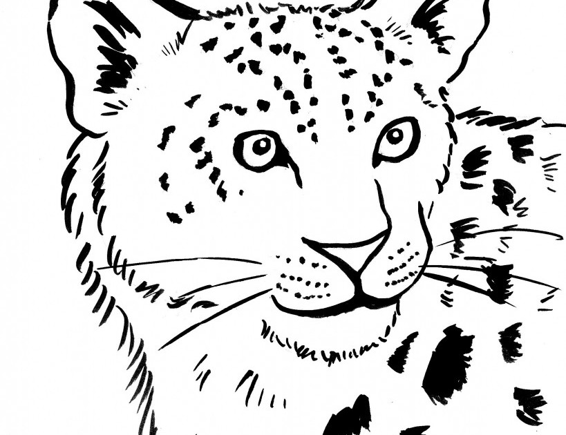 Página para colorir: Leopardo (animais) #9759 - Páginas para Colorir Imprimíveis Gratuitamente