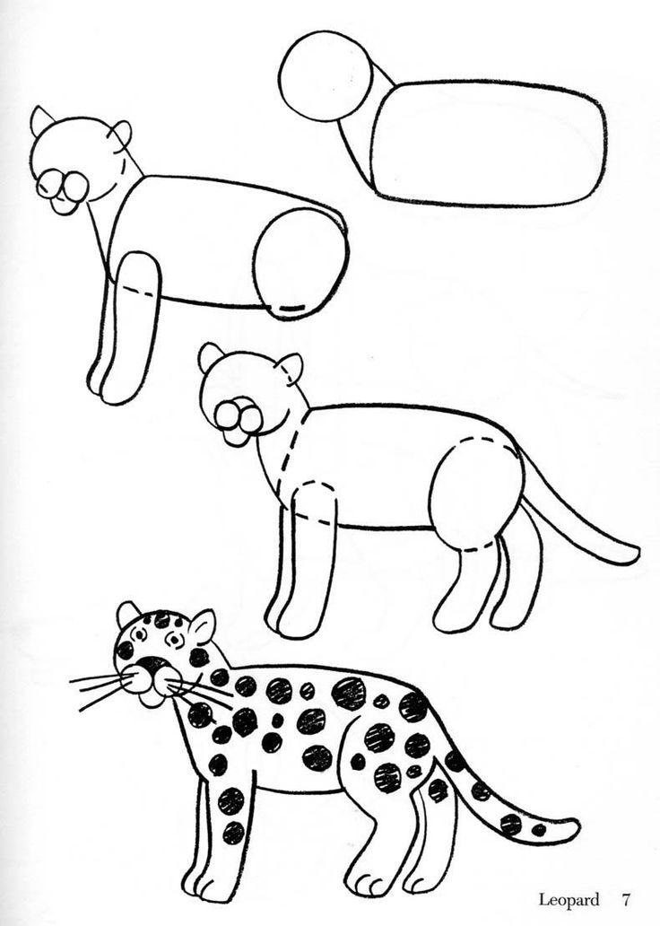 Página para colorir: Leopardo (animais) #9779 - Páginas para Colorir Imprimíveis Gratuitamente