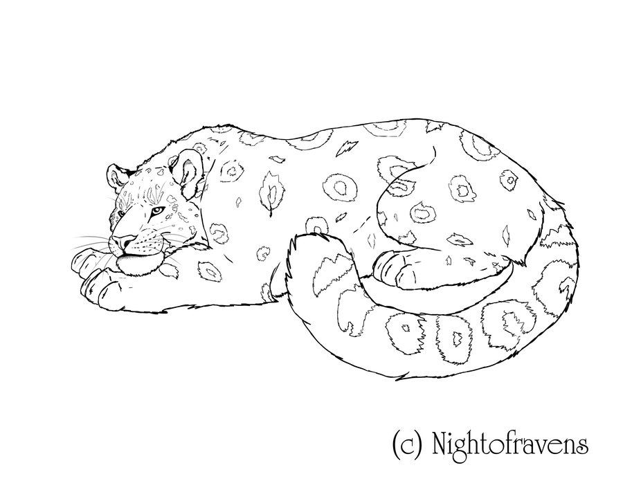 Página para colorir: Leopardo (animais) #9801 - Páginas para Colorir Imprimíveis Gratuitamente